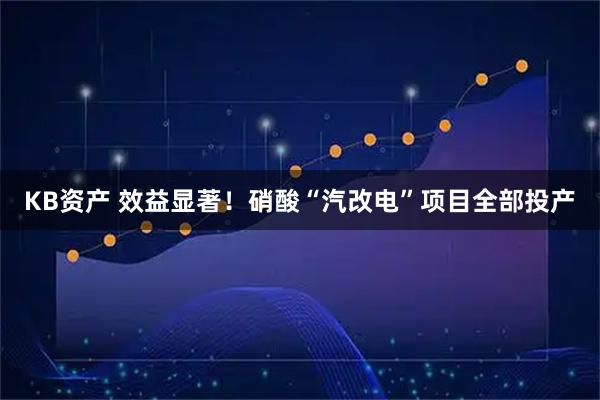 KB资产 效益显著！硝酸“汽改电”项目全部投产