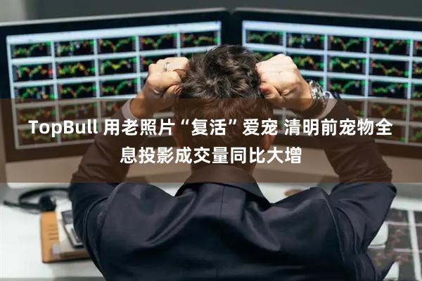 TopBull 用老照片“复活”爱宠 清明前宠物全息投影成交量同比大增