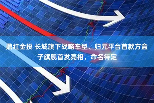 鼎红金投 长城旗下战略车型、归元平台首款方盒子旗舰首发亮相，命名待定