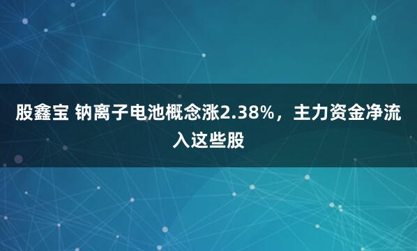 股鑫宝 钠离子电池概念涨2.38%，主力资金净流入这些股