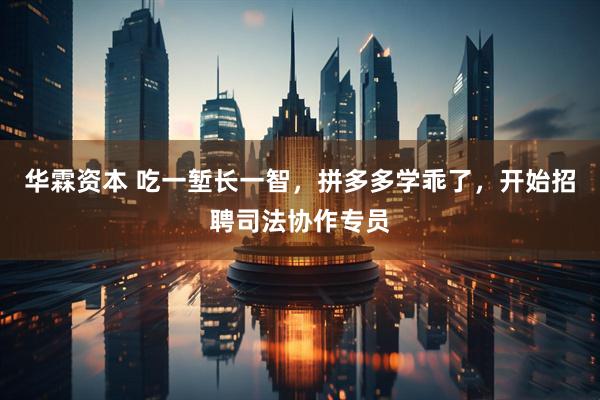 华霖资本 吃一堑长一智，拼多多学乖了，开始招聘司法协作专员