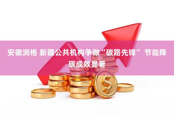 安徽润格 新疆公共机构争做“碳路先锋” 节能降碳成效显著