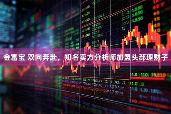 金富宝 双向奔赴，知名卖方分析师加盟头部理财子