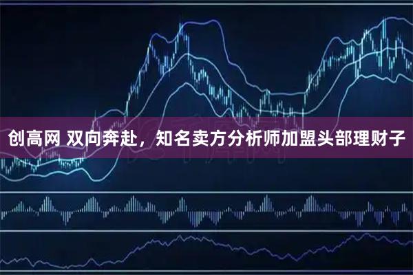 创高网 双向奔赴，知名卖方分析师加盟头部理财子