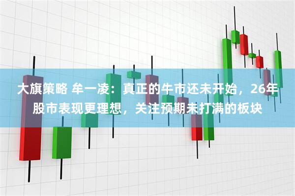 大旗策略 牟一凌：真正的牛市还未开始，26年股市表现更理想，关注预期未打满的板块