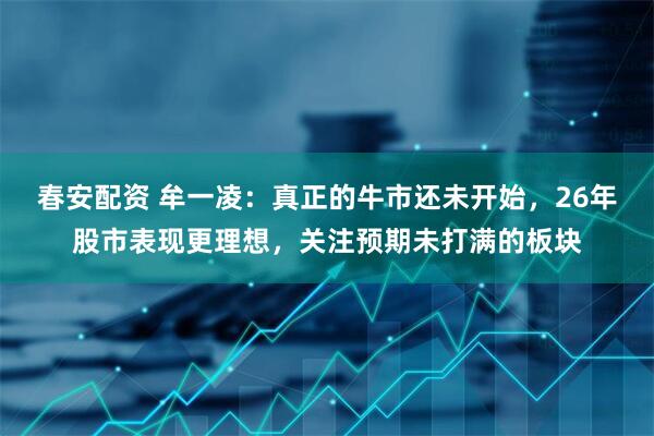 春安配资 牟一凌：真正的牛市还未开始，26年股市表现更理想，关注预期未打满的板块