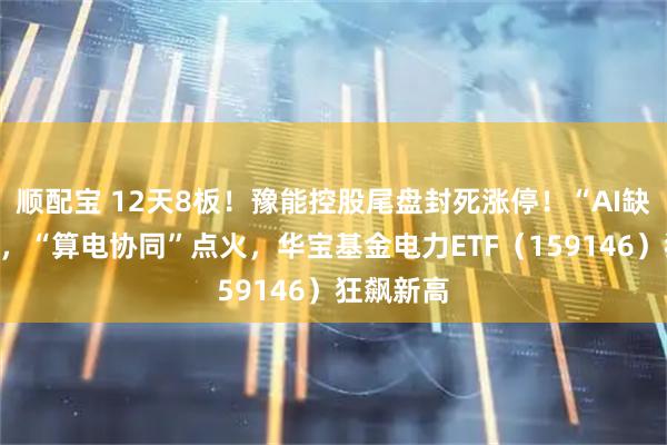 顺配宝 12天8板！豫能控股尾盘封死涨停！“AI缺电”引爆，“算电协同”点火，华宝基金电力ETF（159146）狂飙新高