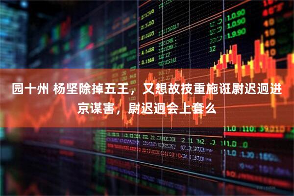 园十州 杨坚除掉五王，又想故技重施诳尉迟迥进京谋害，尉迟迥会上套么