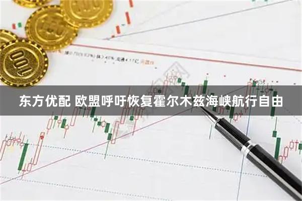 东方优配 欧盟呼吁恢复霍尔木兹海峡航行自由