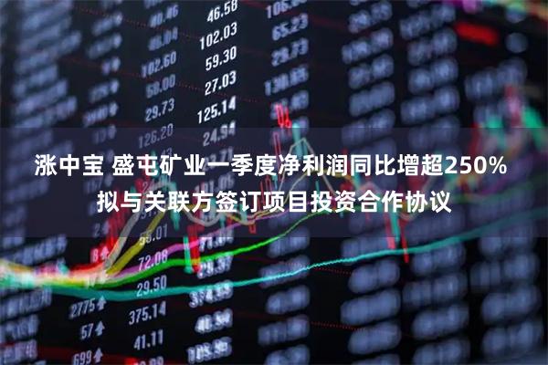 涨中宝 盛屯矿业一季度净利润同比增超250% 拟与关联方签订项目投资合作协议