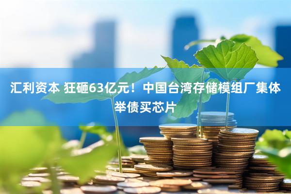 汇利资本 狂砸63亿元！中国台湾存储模组厂集体举债买芯片