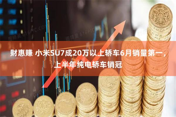 财惠赚 小米SU7成20万以上轿车6月销量第一，上半年纯电轿车销冠