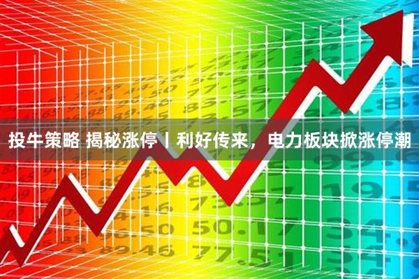 投牛策略 揭秘涨停丨利好传来，电力板块掀涨停潮