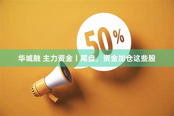 华城融 主力资金丨尾盘，资金加仓这些股